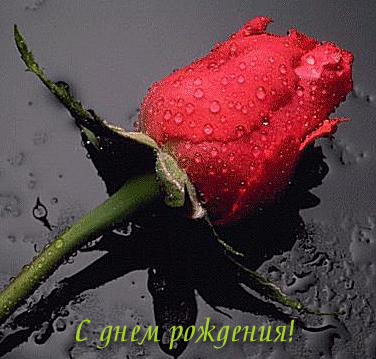 http://www.postcard.ru/pic/birth_common/rosa2.jpg