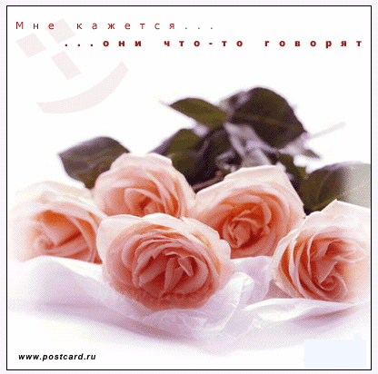 http://www.postcard.ru/pic/flowers_rose/1000501368_only_for_you.gif