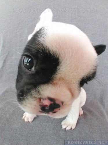 �� ������?!