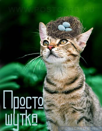 ������ �����