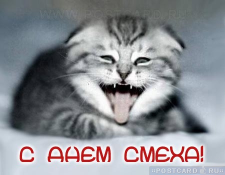 � ���� �����!