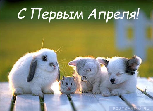 � ������ ������!