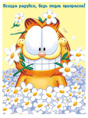 ������ �������, ���� ����� ���������!