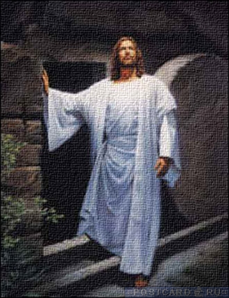 ������� �������!