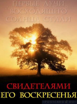 ������ ���� ����������� ������...