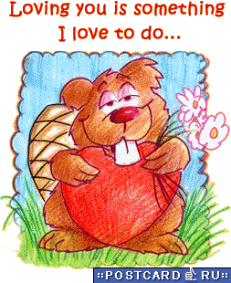 � ���� �����!