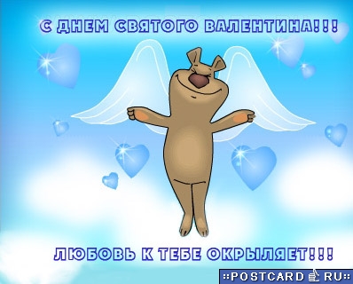 ������ � ���� ��������!